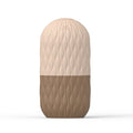 Cooling Ice Face Roller